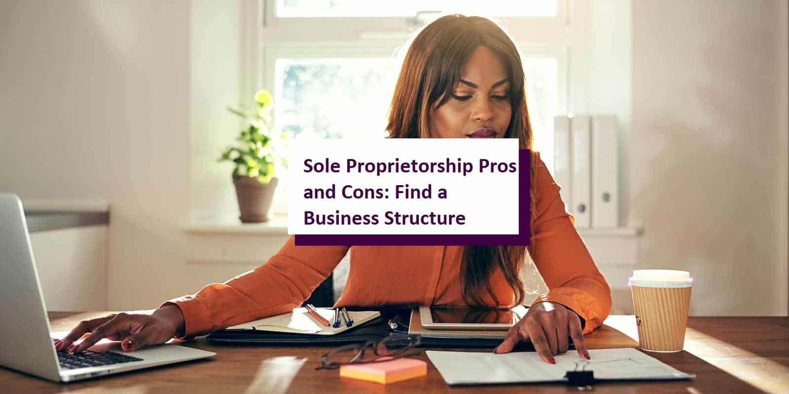 Pros And Cons Of Sole Proprietorship