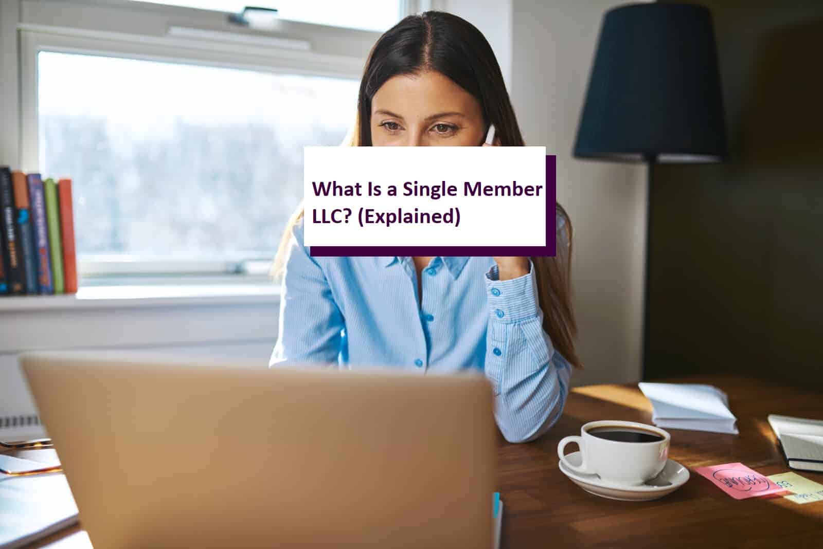 What Is A Single Member Llc Classified As